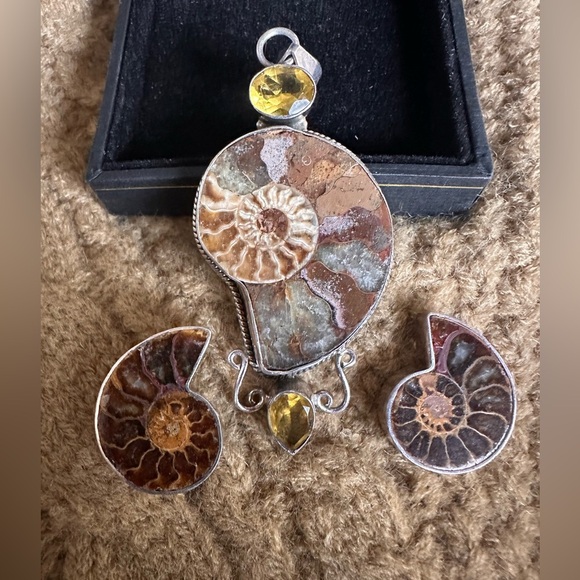 Amazing custom made Ammonite Fossil Jewelry Set with Citrine Accents - Picture 1 of 7